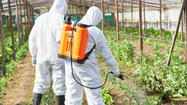 Farmers using chemicals